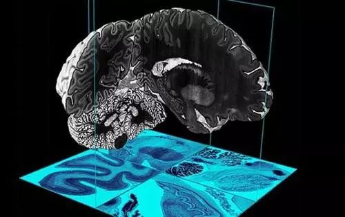 2017世界科技发展回顾-信息技术\/先进制造