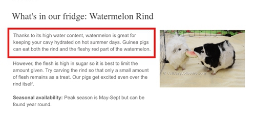 解密谷歌语音搜索SEO的奥秘:10000份样本报