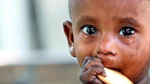 15亿人面临饥饿 人工智能是"救世主"吗?